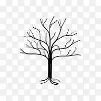 ��ľ ��֦ Ҷ��-������