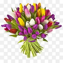 采购产品花 切花 植物-空若网 采购产品花 切花 植物-空若网