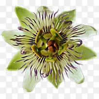 �� ������ ����ֲ��-������