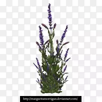 ×Ϲàľ-¹àľ-¿ÕÈôÍø ×Ϲàľ-¹àľ-¿ÕÈôÍø