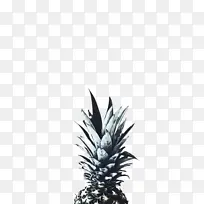 水彩 油漆 湿墨水-空若网 水彩 油漆 湿墨水-空若网