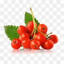 ��ȻʳƷ ˮ�� ʳƷ-������