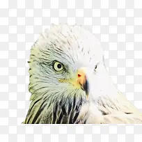 ˮ�ʻ� ���� ʪī-������