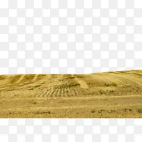 ��Ұ ��ԭ ��Ȼ����-������