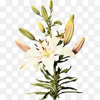 ˮ�� ���� ʪī-������