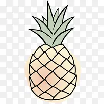 菠萝 水果 植物-空若网 菠萝 水果 植物-空若网