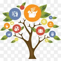 植物 树枝 树-空若网 植物 树枝 树-空若网