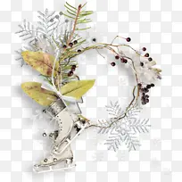 树枝 植物 树-空若网 树枝 植物 树-空若网