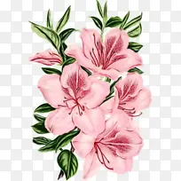 水彩画 颜料 湿墨-空若网 水彩画 颜料 湿墨-空若网