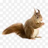 Ë®²Ê» ÑÕÁÏ ÊªÄ«Ë®-¿ÕÈôÍø Ë®²Ê» ÑÕÁÏ ÊªÄ«Ë®-¿ÕÈôÍø