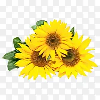 水彩画 颜料 湿墨-空若网 水彩画 颜料 湿墨-空若网