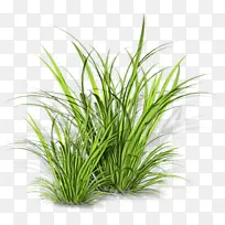 水彩画 颜料 湿墨-空若网 水彩画 颜料 湿墨-空若网