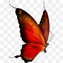 Ë®²Ê» ÓÍÆá ʪīˮ-¿ÕÈôÍø Ë®²Ê» ÓÍÆá ʪīˮ-¿ÕÈôÍø