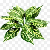 水彩画 油漆 湿墨-空若网 水彩画 油漆 湿墨-空若网