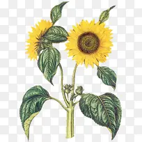 水彩画 颜料 湿墨-空若网 水彩画 颜料 湿墨-空若网