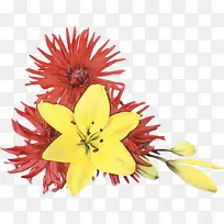 水彩 颜料 湿墨-空若网 水彩 颜料 湿墨-空若网