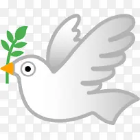 鸟 喙 翅膀-空若网 鸟 喙 翅膀-空若网