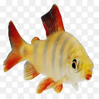 Ë®²Ê» ÑÕÁÏ ÊªÄ«-¿ÕÈôÍø Ë®²Ê» ÑÕÁÏ ÊªÄ«-¿ÕÈôÍø