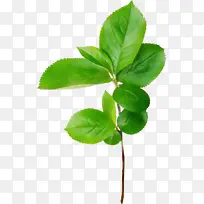 水彩画 油漆 湿墨-空若网 水彩画 油漆 湿墨-空若网