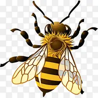 水彩 油漆 湿墨水-空若网 水彩 油漆 湿墨水-空若网