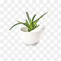 水彩画 油漆 湿墨水-空若网 水彩画 油漆 湿墨水-空若网