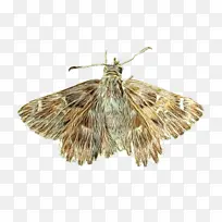 Ë®²Ê» ÓÍÆá ʪīˮ-¿ÕÈôÍø Ë®²Ê» ÓÍÆá ʪīˮ-¿ÕÈôÍø