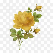 ˮ�ʻ� ���� ʪī-������