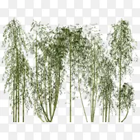 水彩 油漆 湿墨-空若网 水彩 油漆 湿墨-空若网