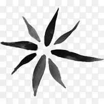 花水彩画黑白水彩画白花-空若网 花水彩画黑白水彩画白花-空若网