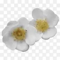 水彩画 颜料 湿墨-空若网 水彩画 颜料 湿墨-空若网