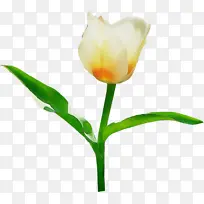 水彩 油漆 湿墨-空若网 水彩 油漆 湿墨-空若网