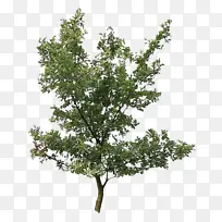 水彩画 油漆 湿墨-空若网 水彩画 油漆 湿墨-空若网