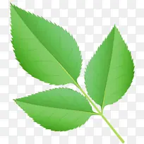 水彩画 油漆 湿墨-空若网 水彩画 油漆 湿墨-空若网