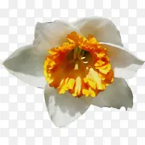 水彩 颜料 湿墨-空若网 水彩 颜料 湿墨-空若网