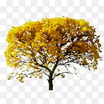 水彩 油漆 湿墨-空若网 水彩 油漆 湿墨-空若网