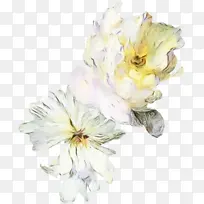 ˮ�� ���� ʪī-������