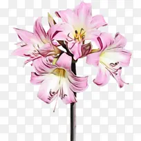 水彩画 颜料 湿墨-空若网 水彩画 颜料 湿墨-空若网