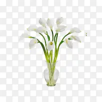 ˮ�� ���� ʪī-������