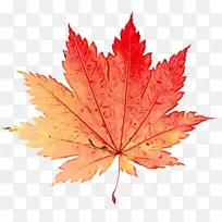 水彩画 油漆 湿墨-空若网 水彩画 油漆 湿墨-空若网