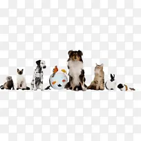 水彩 油漆 湿墨水-空若网 水彩 油漆 湿墨水-空若网