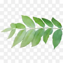 水彩画 油漆 湿墨-空若网 水彩画 油漆 湿墨-空若网