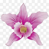 水彩画 颜料 湿墨-空若网 水彩画 颜料 湿墨-空若网