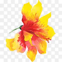 ˮ�� ���� ʪī-������