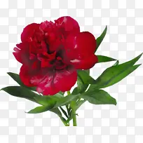 ˮ�� ���� ʪī-������