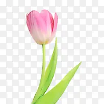 水彩 颜料 湿墨-空若网 水彩 颜料 湿墨-空若网