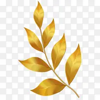 叶 植物 花-空若网 叶 植物 花-空若网