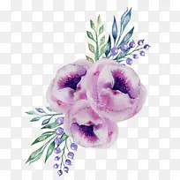 花朵 紫色 薰衣草-空若网 花朵 紫色 薰衣草-空若网