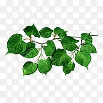 ˮ�ʻ� ���� ʪī-������