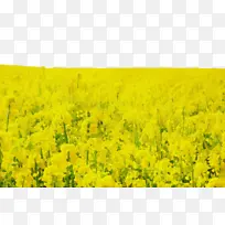 水彩画 油漆 湿墨水-空若网 水彩画 油漆 湿墨水-空若网