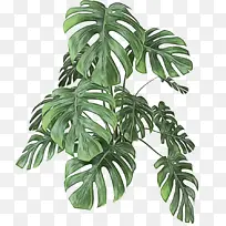 水彩画 油漆 湿墨水-空若网 水彩画 油漆 湿墨水-空若网